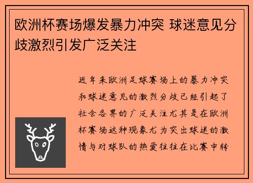 欧洲杯赛场爆发暴力冲突 球迷意见分歧激烈引发广泛关注