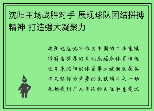沈阳主场战胜对手 展现球队团结拼搏精神 打造强大凝聚力