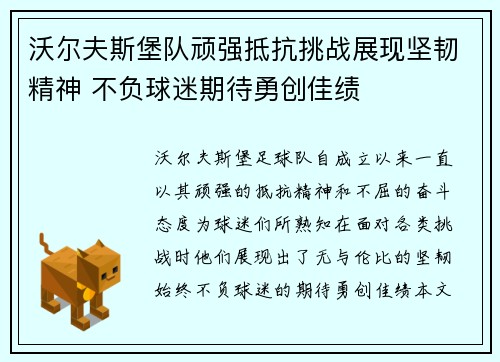沃尔夫斯堡队顽强抵抗挑战展现坚韧精神 不负球迷期待勇创佳绩